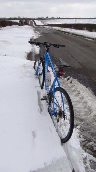 Trek 8.3 DS Hybrid Bike - 2013