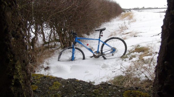 Trek 8.3 DS Hybrid Bike - 2013