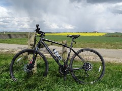 Specialized Crosstrail Sport Disc '16