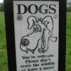 dsc04218