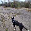 Bugsy at Twyford Wood