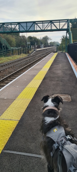 Bugsy at Bottesford railway station
