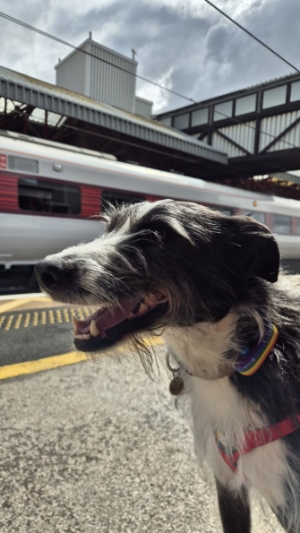 Bugsy at Grantham railway station