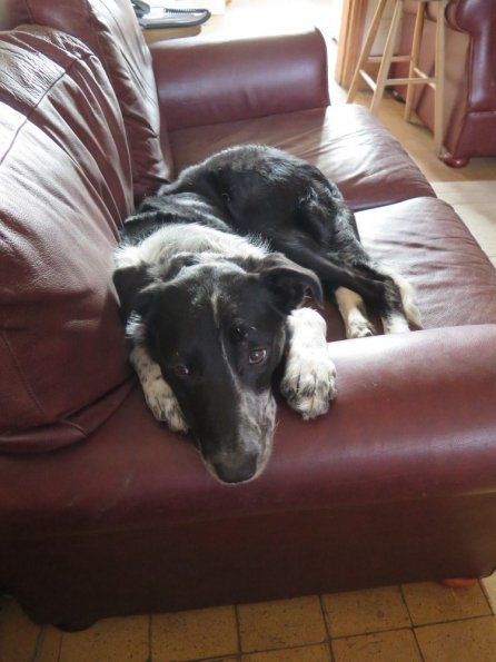 Cooper