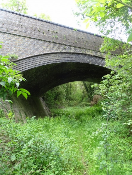 dsc07575