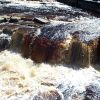 River Swale