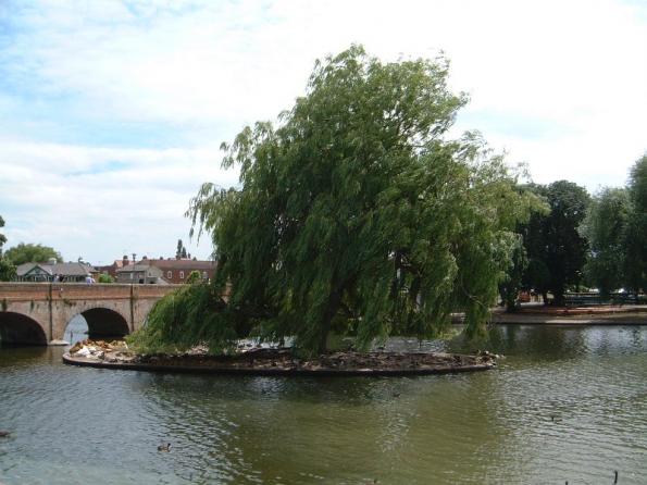 River Avon