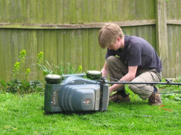 Cutting the back grass