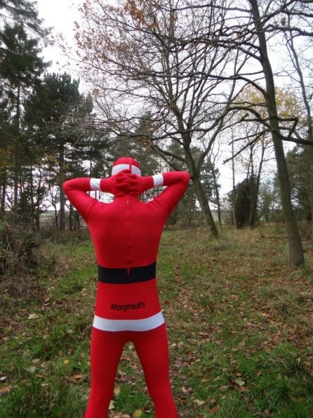 Santa Morphsuit