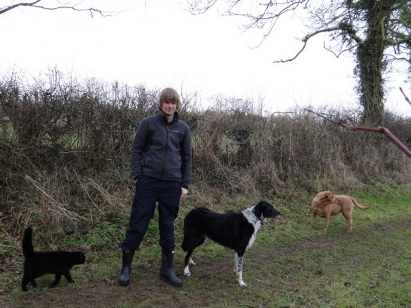 Dog walking, Little Bytham