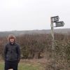 Dog walking, Little Bytham