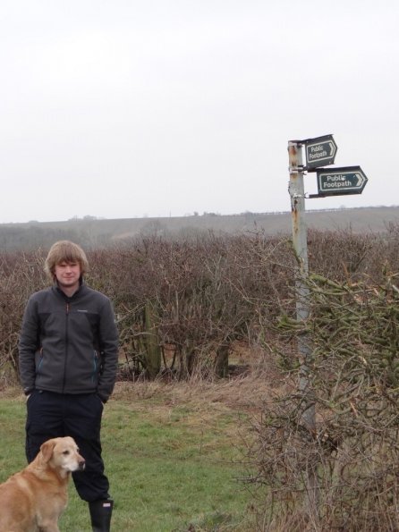 Dog walking, Little Bytham