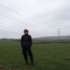 Dog walking, Little Bytham