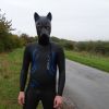 Pup hood and 2XU A:1 Active wetsuit