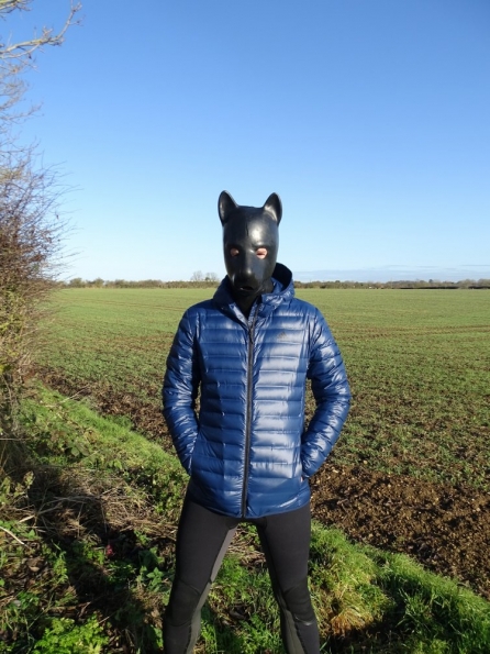 adidas Varilite Down Hooded Jacket + pup hood