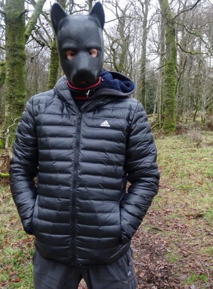Pup hood and collar