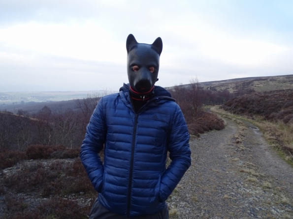 Pup play up the Campsie Fells