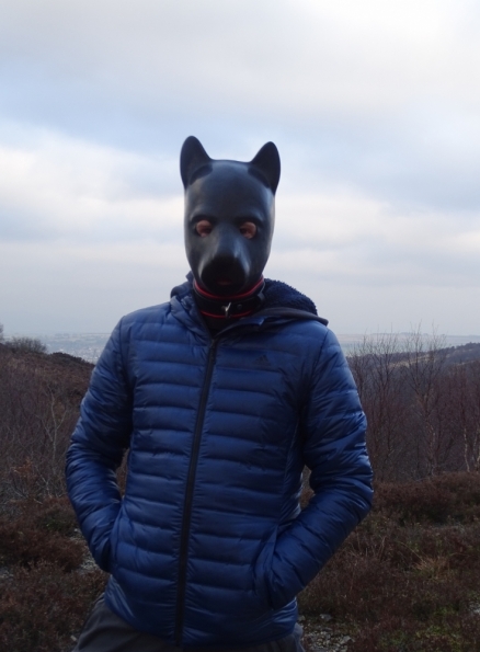 Pup play up the Campsie Fells