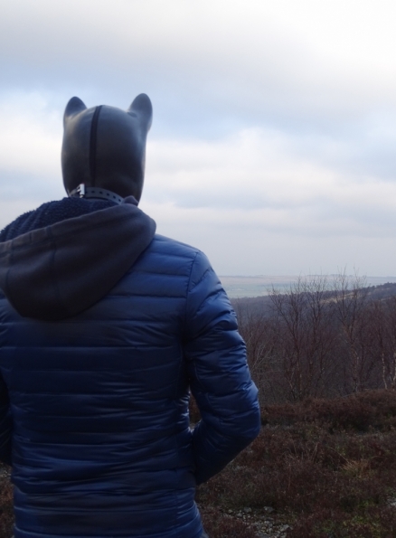 Pup play up the Campsie Fells