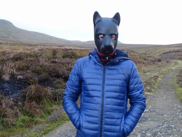 Pup play up the Campsie Fells