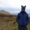 Pup play up the Campsie Fells