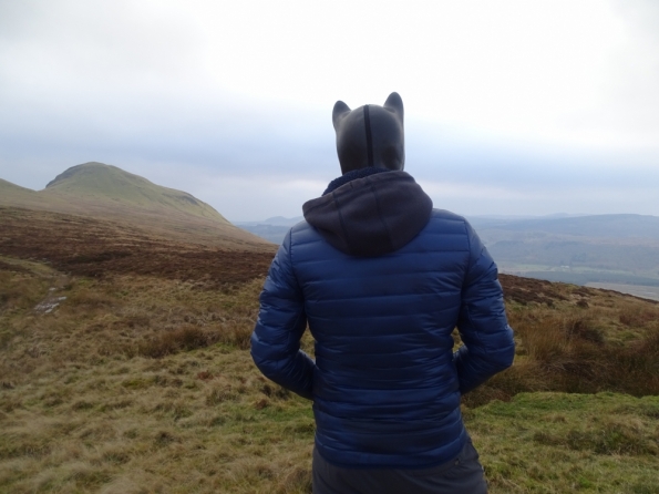 Pup play up the Campsie Fells