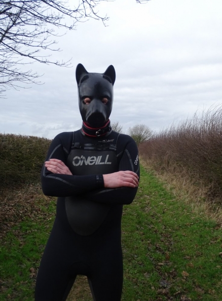 Wetsuit + pup hood