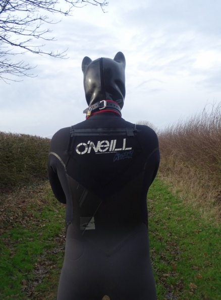 Wetsuit + pup hood