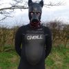 Wetsuit + pup hood