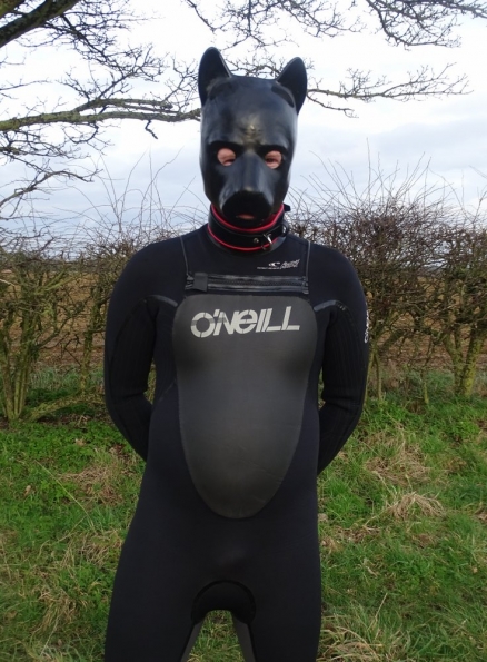 Wetsuit + pup hood