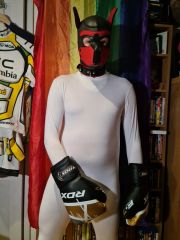 White Morphsuit and RDX Boxing Gloves