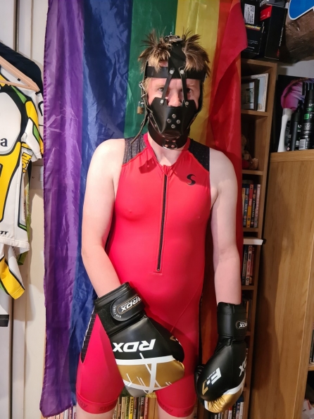 Synergy Red Trisuit and Fetters Padded Leather Muzzle