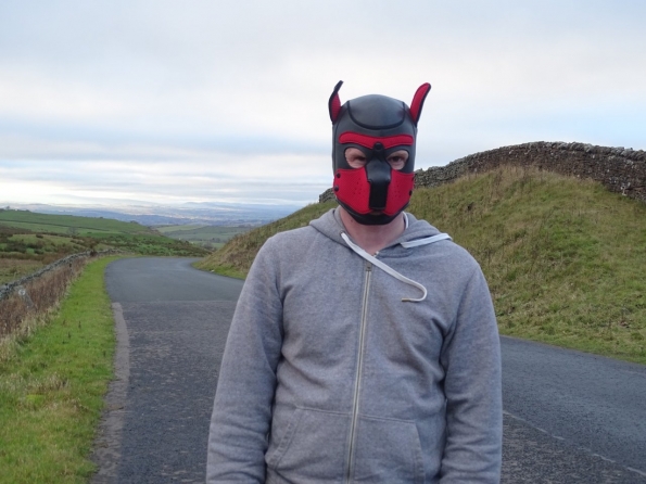 Neoprene Pup Hood