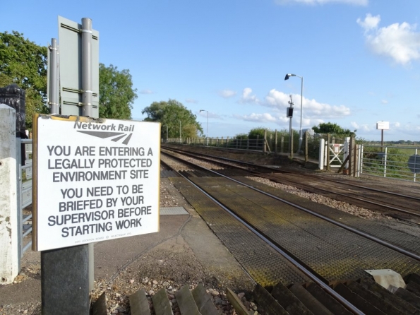Buckenham railway station
