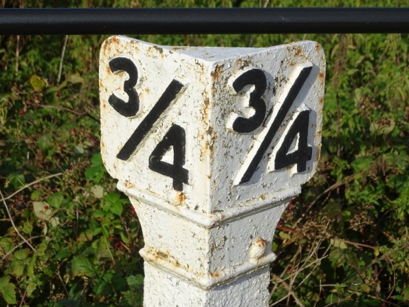 Buckenham railway station