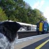 Kings Langley railway station