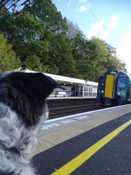 Kings Langley railway station