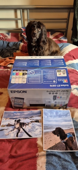 EPSON EcoTank ET-2876 All-in-One Wireless Inkjet Printer